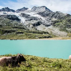 Meublè Stelvio 3*, Tirano Italie
